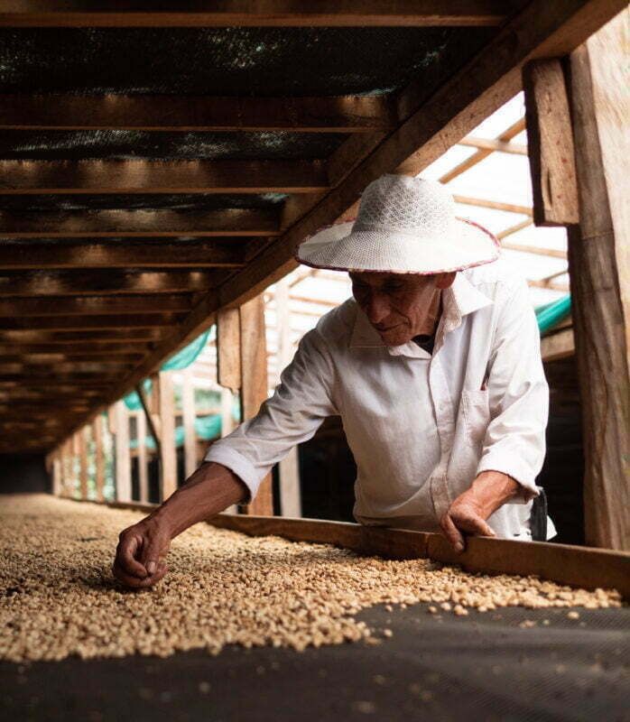 what is washed processed coffee? find out and buy organic washed processed coffee at ONSK